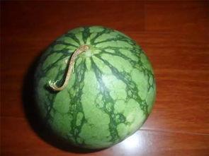 小绿吃瓜,揭秘瓜界那些事儿