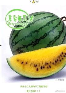 请文明吃瓜,共享和谐网络空间