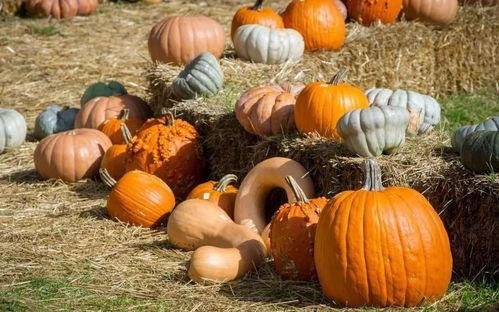 吃瓜群众的艺术特征,揭秘网络时代的“旁观者”文化