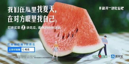 看自己吃瓜,跟随我一起品尝生活百味