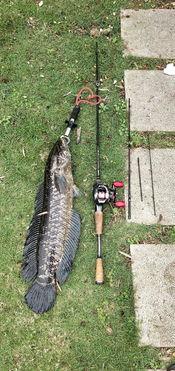 吃瓜群众富婆钓鱼,吃瓜群众眼中的优雅生活