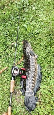 吃瓜群众富婆钓鱼,吃瓜群众眼中的优雅生活