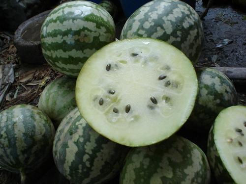 吃绿宝瓜过敏吗,食用需谨慎