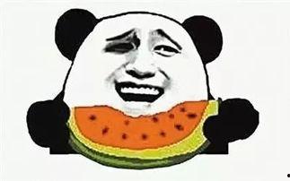 每日吃瓜在哪看,尽在指尖——揭秘各大平台瓜果盛宴