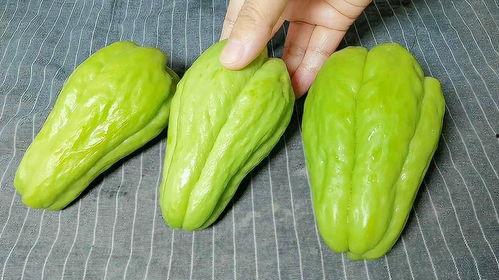 扶手瓜怎么吃视频