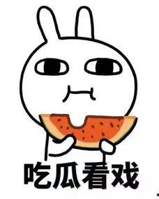 吃瓜女配不离婚