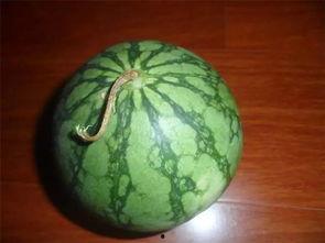 吃瓜极挑,揭秘明星们的幕后趣事