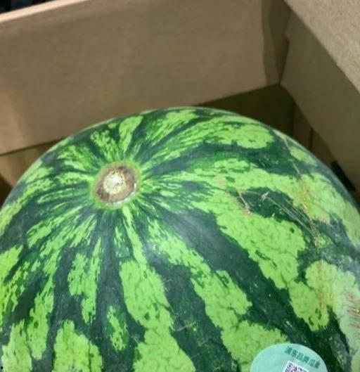 夸克吃瓜真假,一场虚拟与现实交织的奇幻之旅