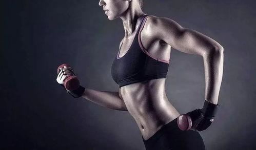 《吃瓜健身》精彩片段,揭秘健身达人的“瓜”中奥秘